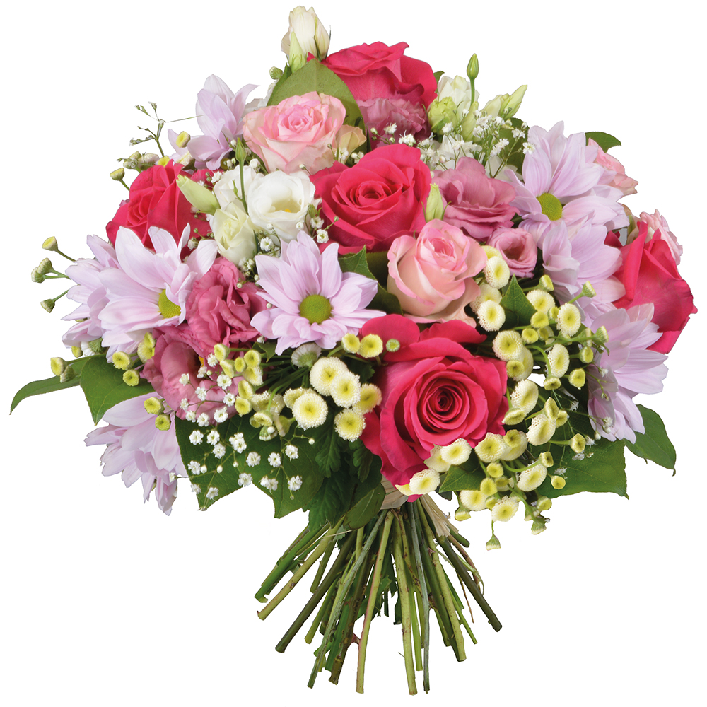 FLEURS CORSE
