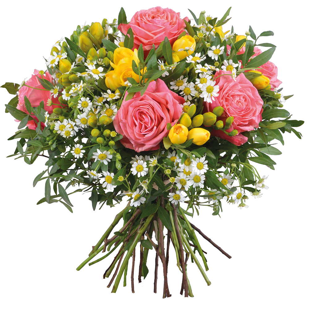 FLEURS GUADELOUPE