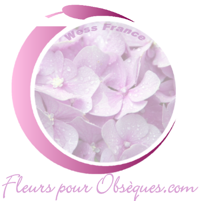 FLEURS DEUIL GUYANE  FLEURS DEUIL ST PIERRE ET MIQUELON