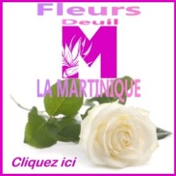 FLEURS DEUIL martinique